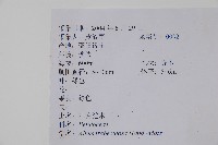 江南榿木藏品圖，第2張