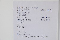 三葉五加、三加皮藏品圖，第2張