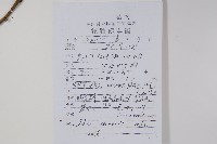 鹽膚木藏品圖，第2張