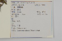 衛矛藏品圖，第2張