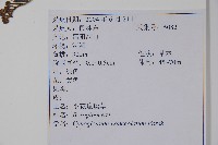 小花倒提壺藏品圖，第2張