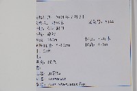 五裂槭藏品圖，第2張