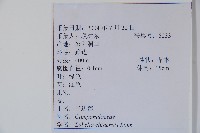 半邊蓮、鐮磨仔草藏品圖，第2張