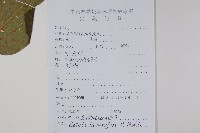 亮葉樺藏品圖，第2張