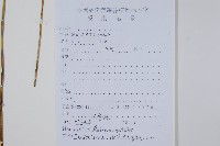 水金鳳藏品圖，第2張