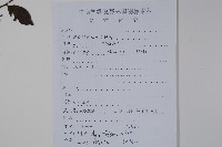 威氏冬青藏品圖，第2張