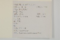 西南衛矛藏品圖，第2張