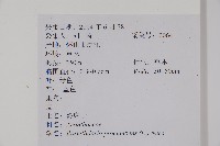 爵床、六角英藏品圖，第2張