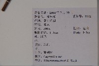 珊瑚樹藏品圖，第2張