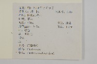 江南山柳藏品圖，第2張