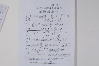 南天竹、天竹、蘭天竹藏品圖，第2張