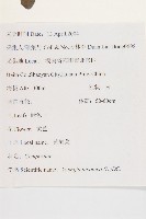 黃鵪菜藏品圖，第2張