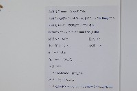 金銀忍冬藏品圖，第2張