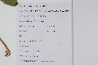 青葙藏品圖，第2張