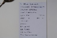 南方莢迷藏品圖，第2張