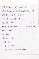 蒼耳藏品圖，第2張