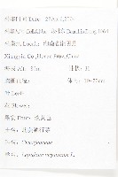 獨行菜藏品圖，第2張