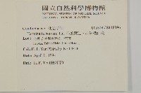 小葉欖仁、非洲欖仁樹藏品圖，第2張