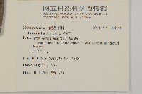 欖仁藏品圖，第2張