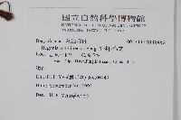 坪林秋海棠藏品圖，第2張