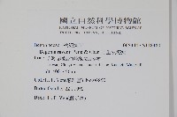 岩生秋海棠藏品圖，第2張