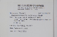 水鴨腳藏品圖，第2張