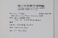 水鴨腳藏品圖，第2張