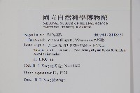 水鴨腳藏品圖，第2張