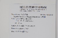 水鴨腳藏品圖，第2張