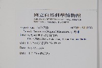 水鴨腳藏品圖，第2張