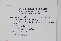 登錄號:S118535藏品圖，第2張