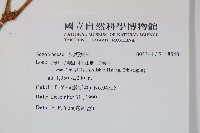 登錄號:S118540藏品圖，第2張