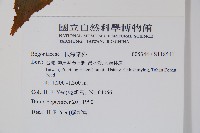 登錄號:S118541藏品圖，第2張