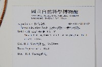 裂葉秋海棠、巒大秋海棠藏品圖，第2張