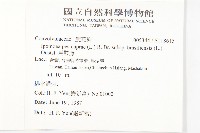 馬鞍藤藏品圖，第2張