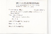 馬鞍藤藏品圖，第2張