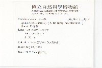 馬鞍藤藏品圖，第2張