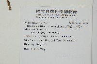 燈稱花、烏雞骨藏品圖，第2張