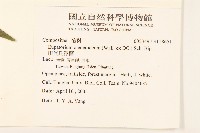 田代氏澤蘭藏品圖，第2張