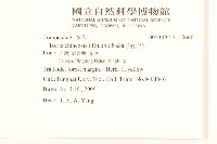 兔仔菜藏品圖，第2張