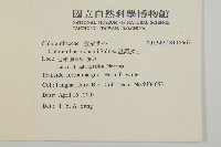 臺灣及己藏品圖，第2張