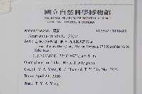 野莧菜藏品圖，第2張