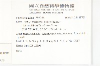 銳葉牽牛藏品圖，第2張