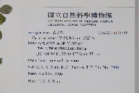 滿福木藏品圖，第2張