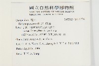 鱧腸藏品圖，第2張