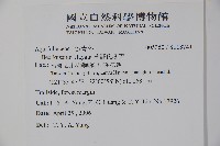 草野氏冬青藏品圖，第2張