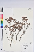 登錄號:S118788藏品圖，第1張