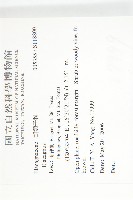 登錄號:S118800藏品圖，第2張