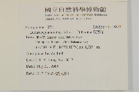 茯苓菜藏品圖，第2張