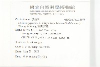 臺灣馬桑藏品圖，第2張